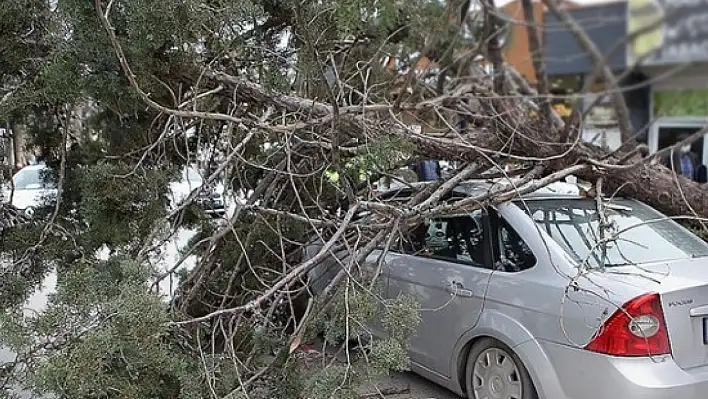 Yaşlılar ve çocuklar dikkat! Kayseri'de kuvvetli olacak