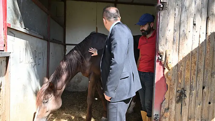 Yeni müdür bu kez de at çiftliğinde