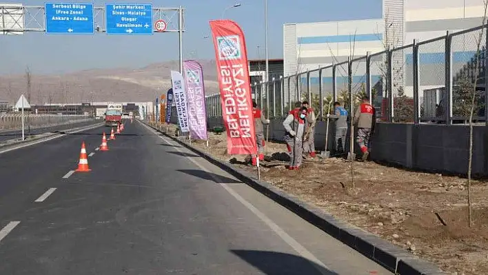 OSB yolunda ağaçlandırma çalışması