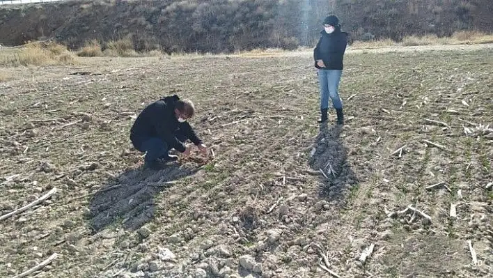 Yerli ve milli tohumların ulaşmadığı çiftçi kalmayacak!