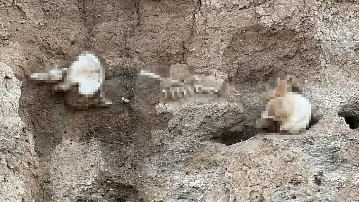 Yoğun yağışların ardından insan kemikleri ortaya çıktı