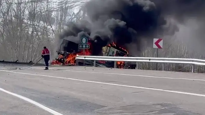 Yoldan çıkıp devrilen TIR alev alev yandı