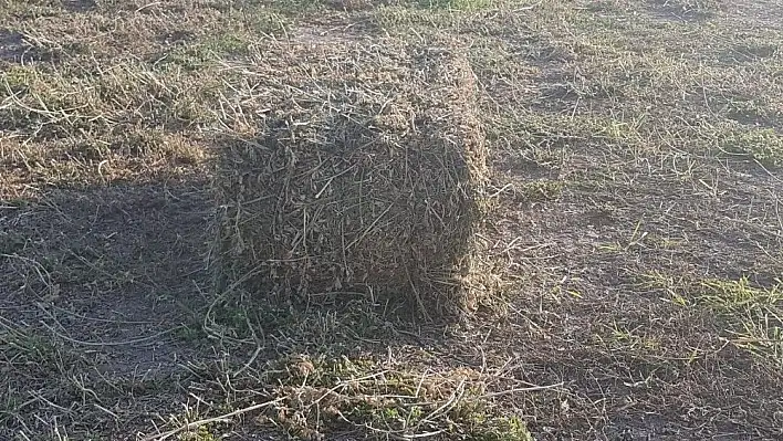 Yonca balyası çalan şahıs yakalandı