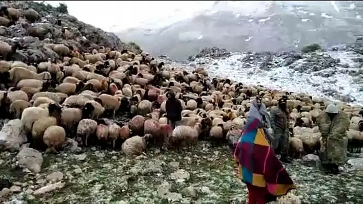 'Yörük anaya' vali sahip çıktı