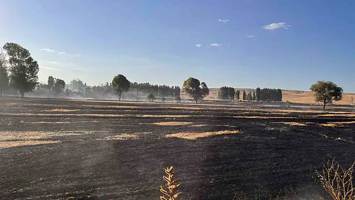 Yozgat'ta 500 dönüm buğday ekili alan 10 dakikada yandı