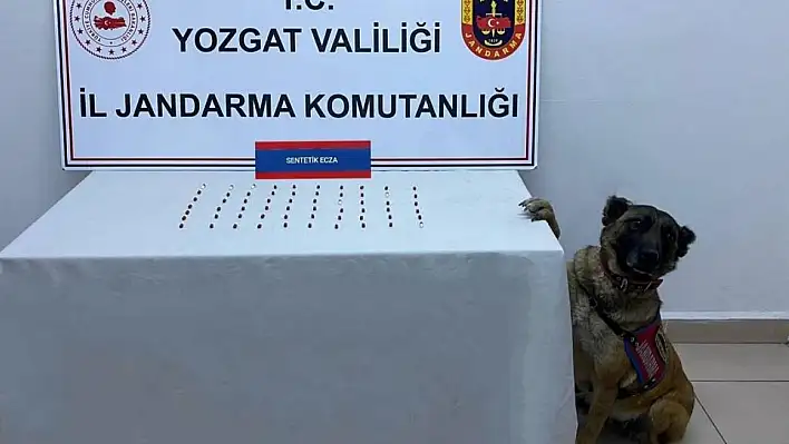 Yozgat'ta 61 adet uyuşturucu hap ele geçirildi