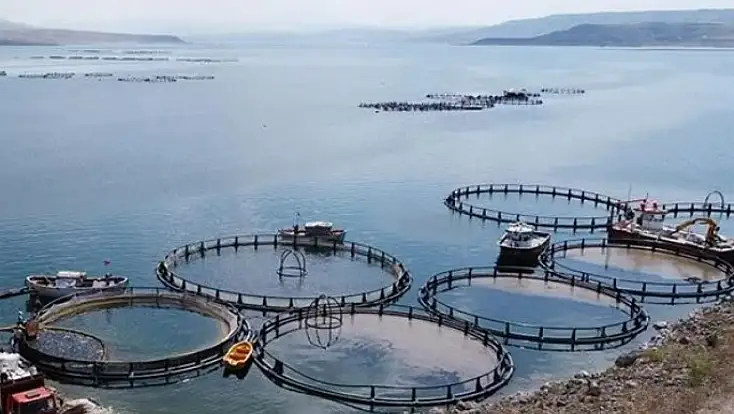 Denizi olmayan Kayseri'de günlük 100 ton üretim