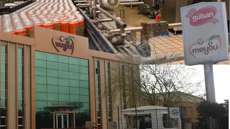 Flaş gelişme! Meysu'ya açılan unvan davasında karar açıklandı