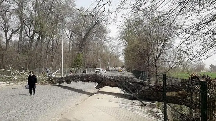 Kayseri’de kuvvetli rüzgâr ve fırtına alarmı