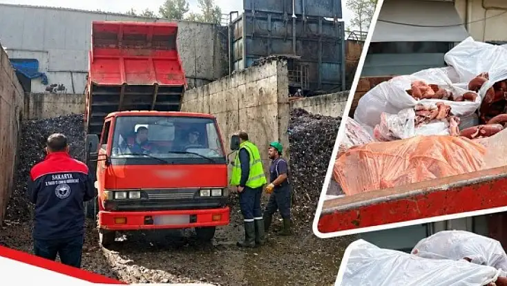 Kayseri’deki at-eşek eti şokunun ardından şimdi de domuz eti!