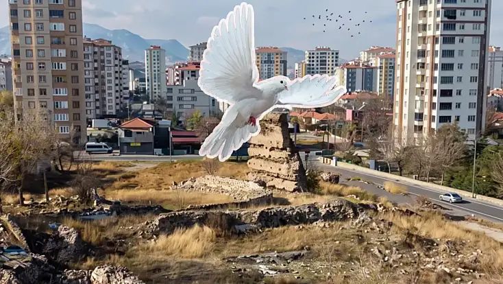 Kayseri'deki Basiliada merak konusu oldu! Mahalleye talih kuşu mu kondu?