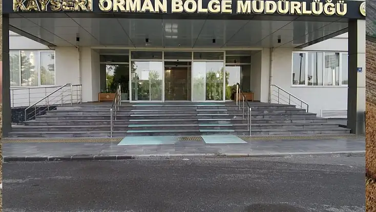 Kayseri Orman Bölge Müdürlüğü işçi alımında sonuçlar açıklandı