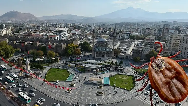 Kayseri ve çevresinde kene alarmı! En riskli alanlar belli oldu
