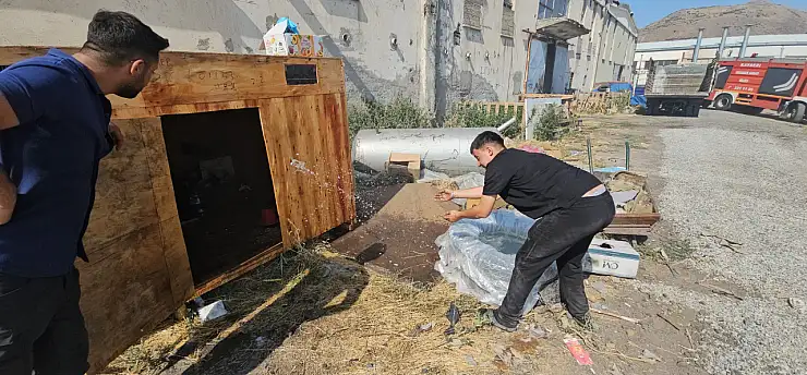 Alevlerin arasında kalan güvercin yuvası için herkes harekete geçti!