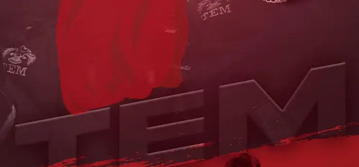 İstihbarat ve TEM ortak operasyon yaptı bakın kimi yakaladı!