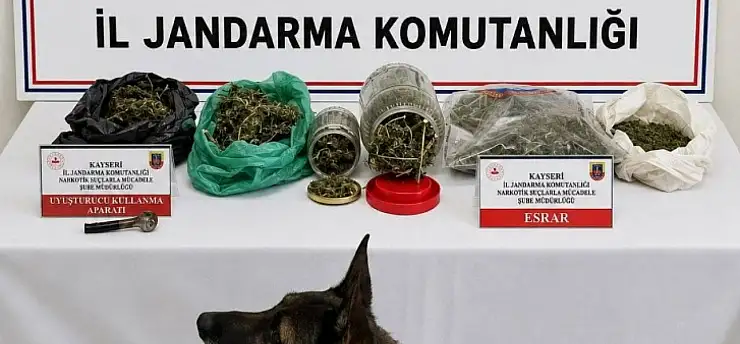 Jandarma ihbar üzerine harekete geçti: Ele geçirenler dikkat çekti