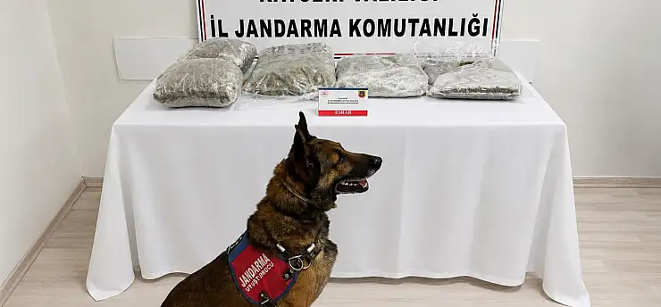 Kayseri'de gece saatlerinde hareketlilik! Şüpheli araçtan ne çıktı?