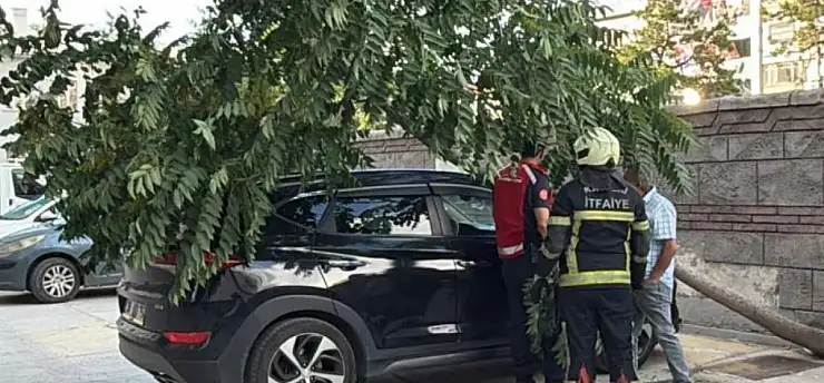Kayseri'de ağaç, aracın üzerine devrildi