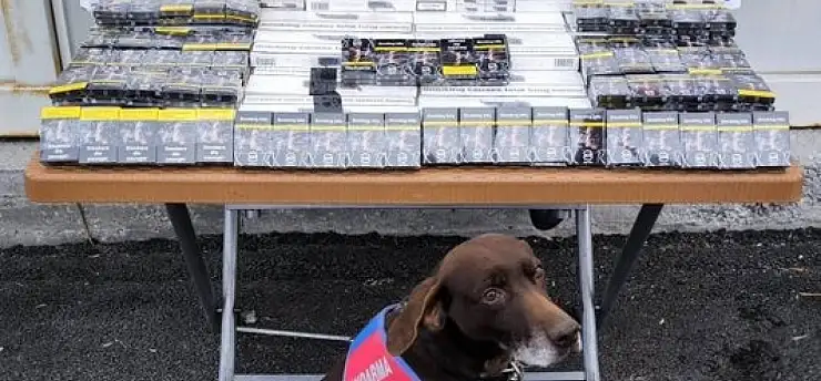 Kayseri–Malatya yolunda bir tırda bakın neler ele geçirildi?