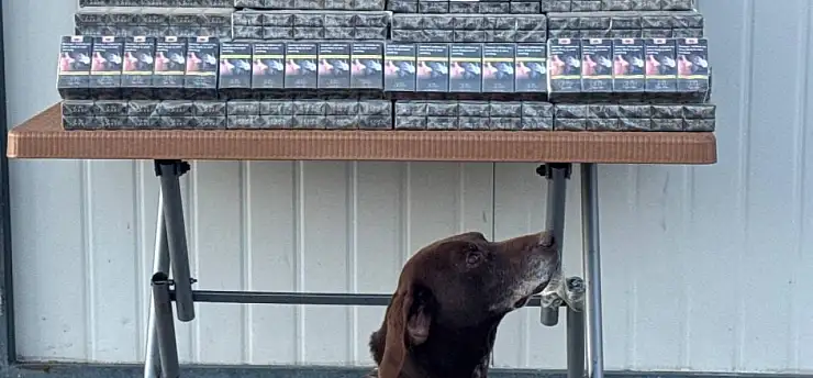 Mardin'den Kayseri'ye gelen TIR'da  binlerce paket ele geçirildi