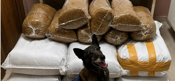 Narkotik köpeği tepki verdi! Kaçak ürünler ortaya çıktı