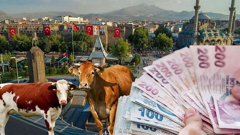133 milyon 519 bin TL hesaplara yattı!