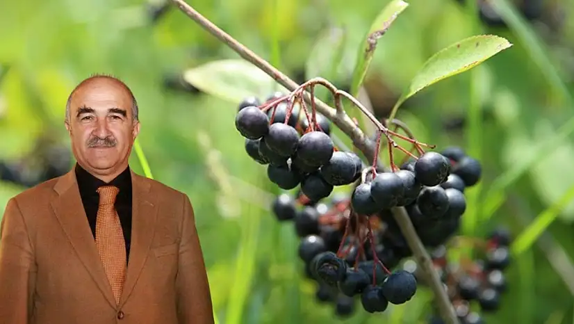 AK Partili eski Başkana aronya engeli! Kim arazi vermedi, kim devreye girdi?