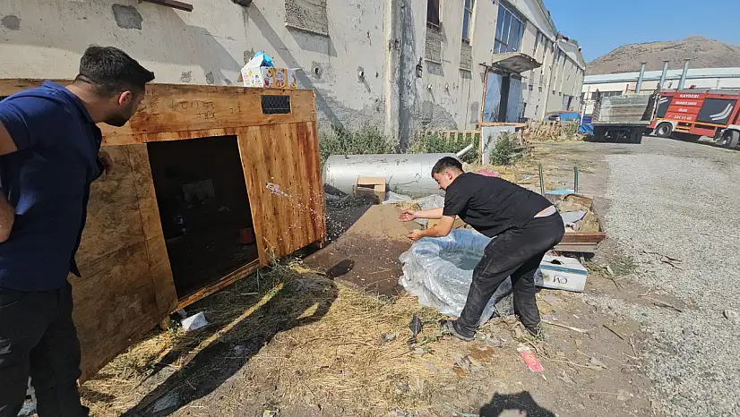 Alevlerin arasında kalan güvercin yuvası için herkes harekete geçti!