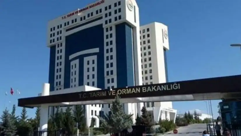 Bakanlık bu kelimelerin kullanımını yasakladı!