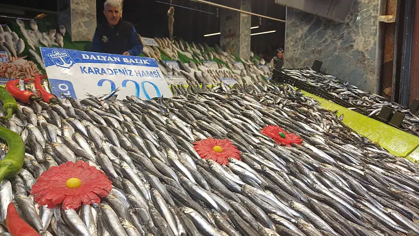 Balıkta kar bereketi