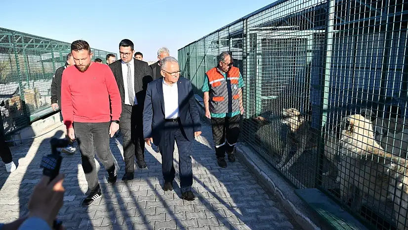Başkan Büyükkılıç'tan sahipsiz hayvanlara destek