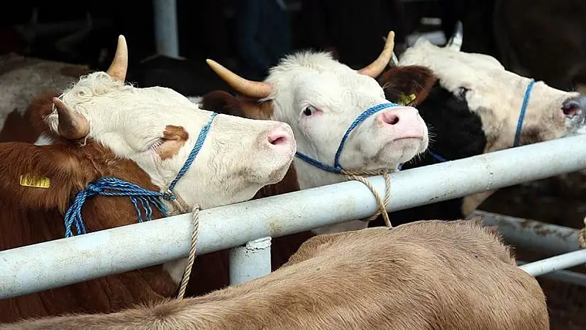 Kayserili üreticiler dikkat! Başvuru tarihleri değişti