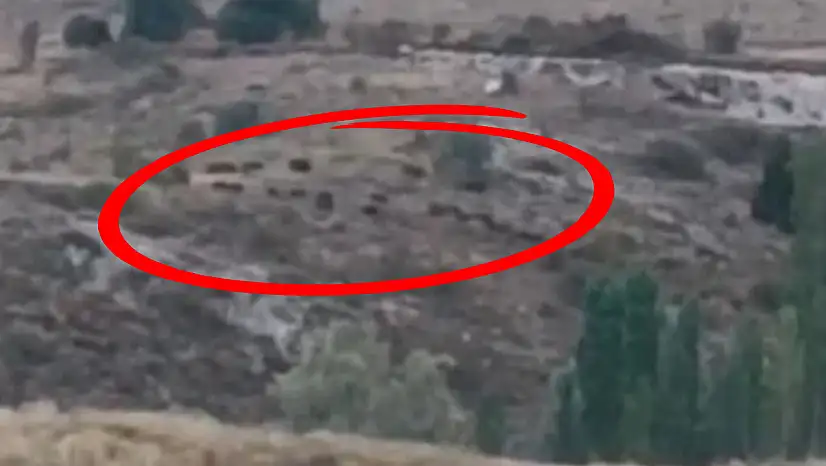 Bir anda karşılarına çıktılar! Kayseri'de yürekleri ağza getiren görüntü