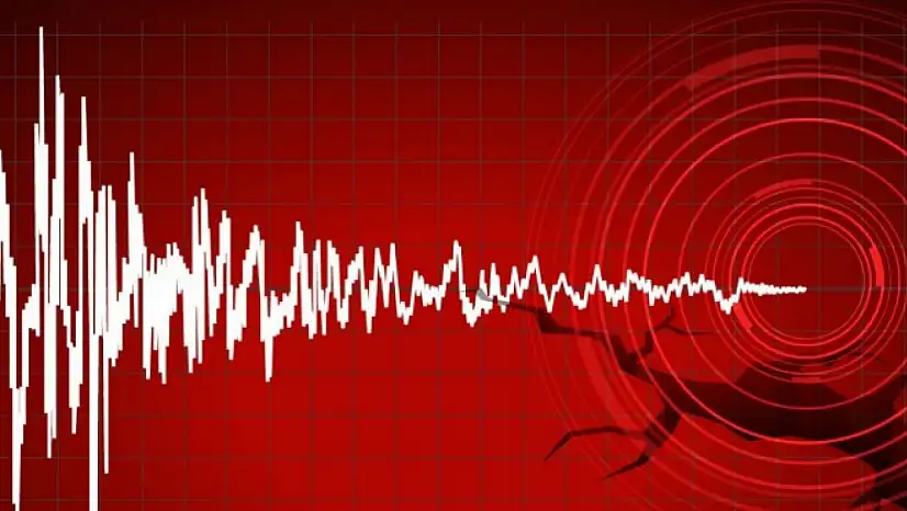 Bir haftada 244 deprem! Ünlü deprem uzmanından dikkat çeken açıklama