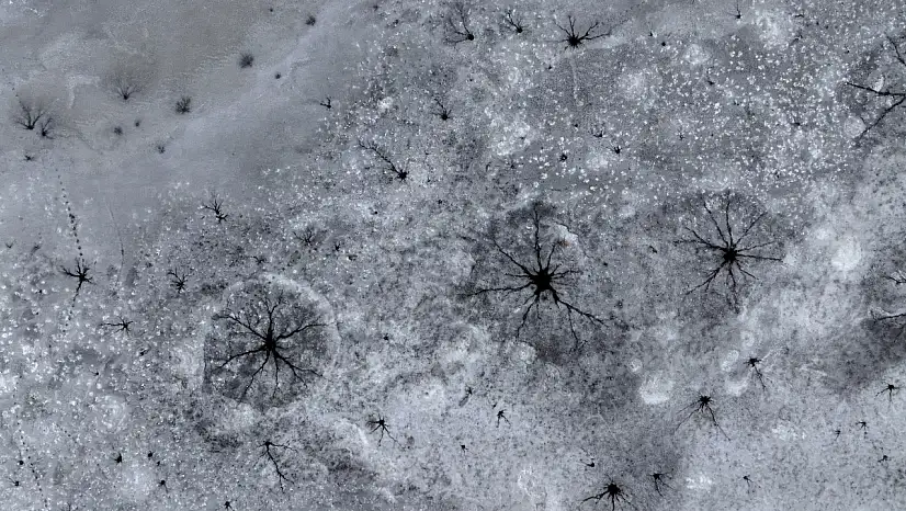 Bu görüntüler Kayseri'den: Göz bebeğini andıran buzlar oluştu