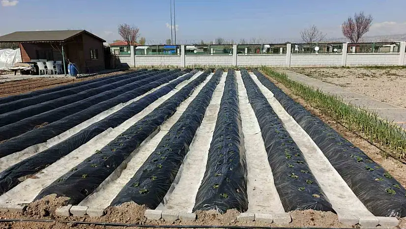 Doğal Ürünler Bahçesi'nde yeni sezon hazırlığı: toprakla buluşma vakti