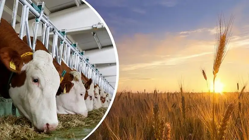 Çiftçilere 1 milyar 46 milyon lira destek