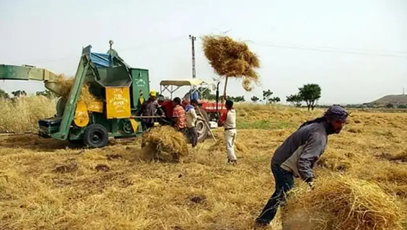 Çiftçinin önünde iki zor seçenek: Ya hasat ya ÇKS! Tepki büyüyor