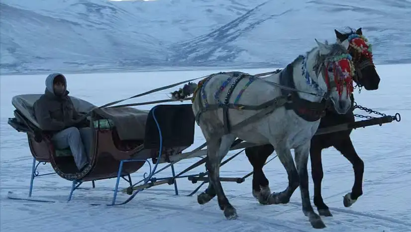 Develi'de 85 yıl önce ulaşım bakın nasıl sağlanıyordu