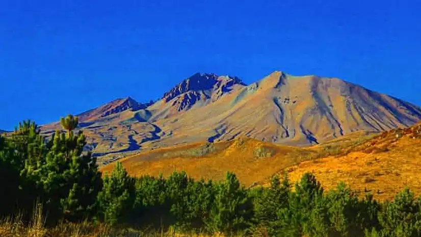 Erciyes Titrek Kavak ile yeşile dönüşür mü?