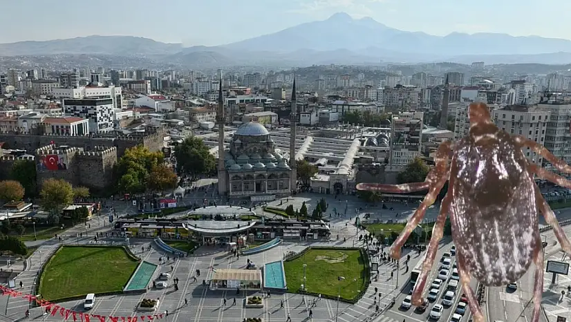 Kayseri'de 5 can almıştı! 'İnsandan insana da bulaşabiliyor'