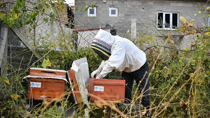 Kayseri'de bal üreticilerinin yüzü gülüyor