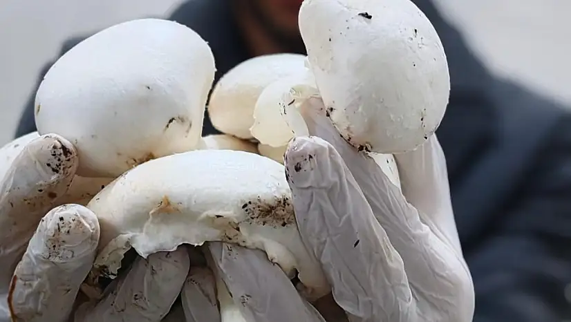 Kayseri'de bir ilk: Sarız'da hayata geçti