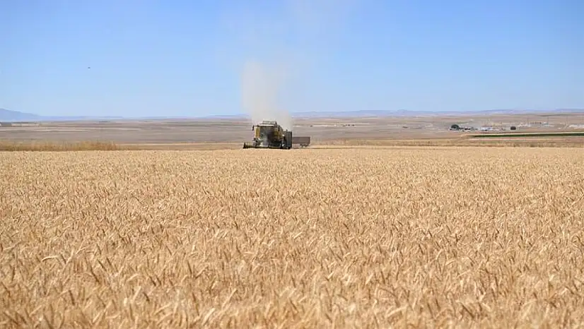 Kayseri'de de birçok kişinin beklediği alım fiyatları açıklandı