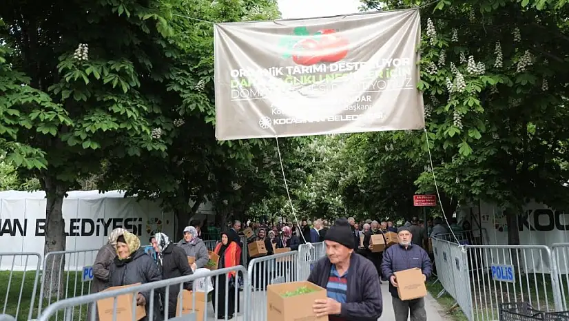 Kayseri'de domates fidesi dağıtıldı!