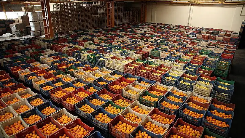 Kayseri'de dudak uçuklatan fiyat! Kilosu 600 TL