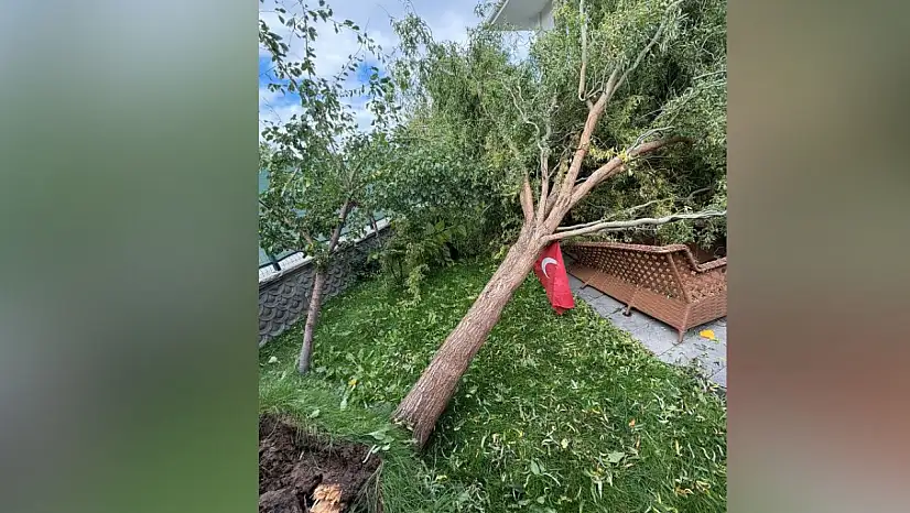 Kayseri'de fırtına etkisini gösterdi! Ağaç devrildi