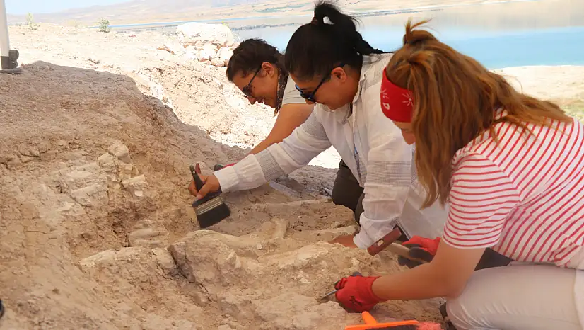 Kayseri'de keçi çobanının ihbarıyla başlayan 7.7 milyon yıllık keşif