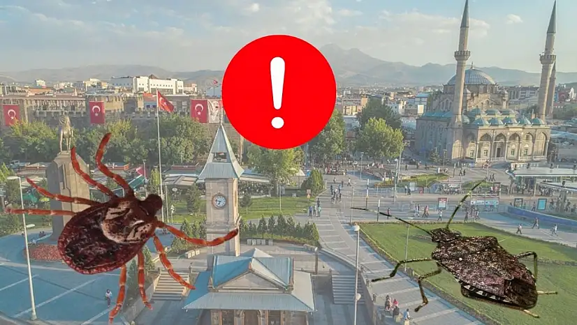 Kayseri'de kene harekatı başlıyor!