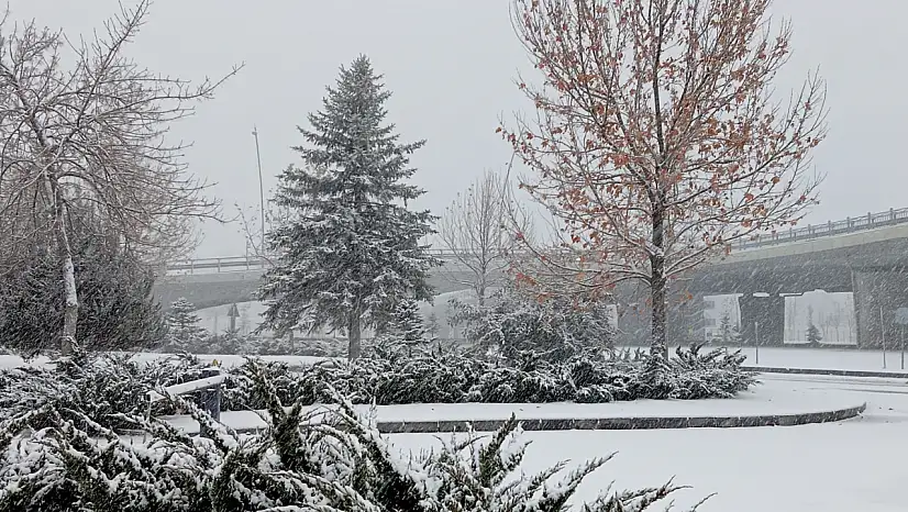 Kayseri'de kuvvetli kar yağışı: Çığ, don, buzlanmaya dikkat!